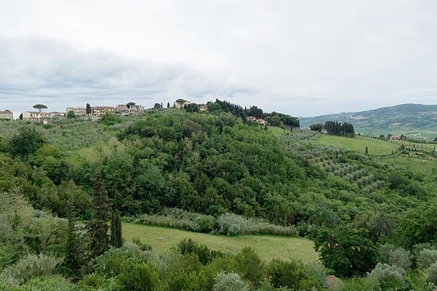 Vista panoramica dal paese di Peccioli sulla campagna circostante
