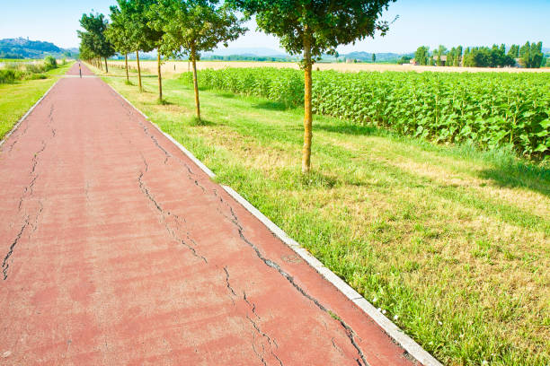 Campagna toscana nei pressi di Peccioli